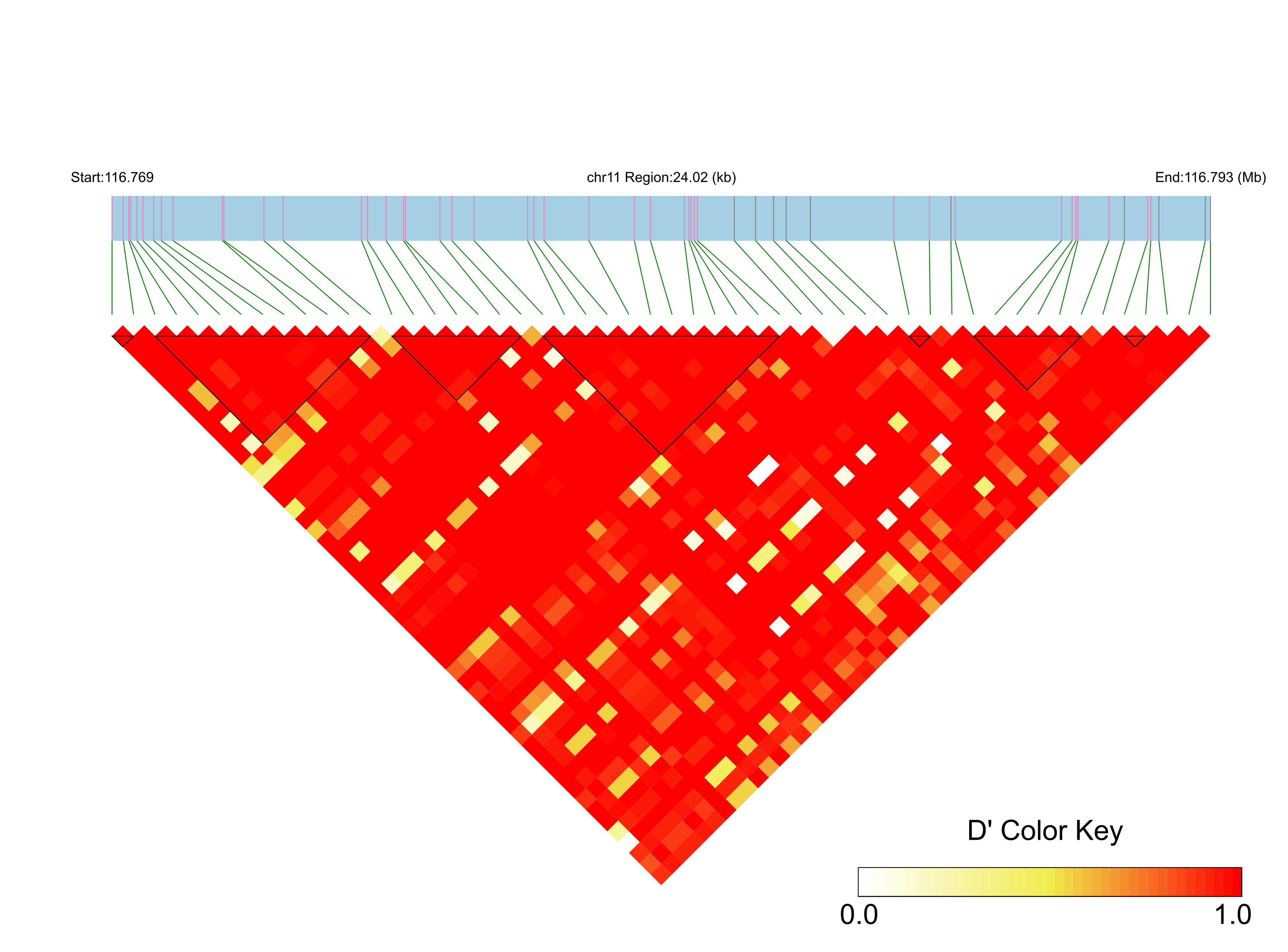 LD