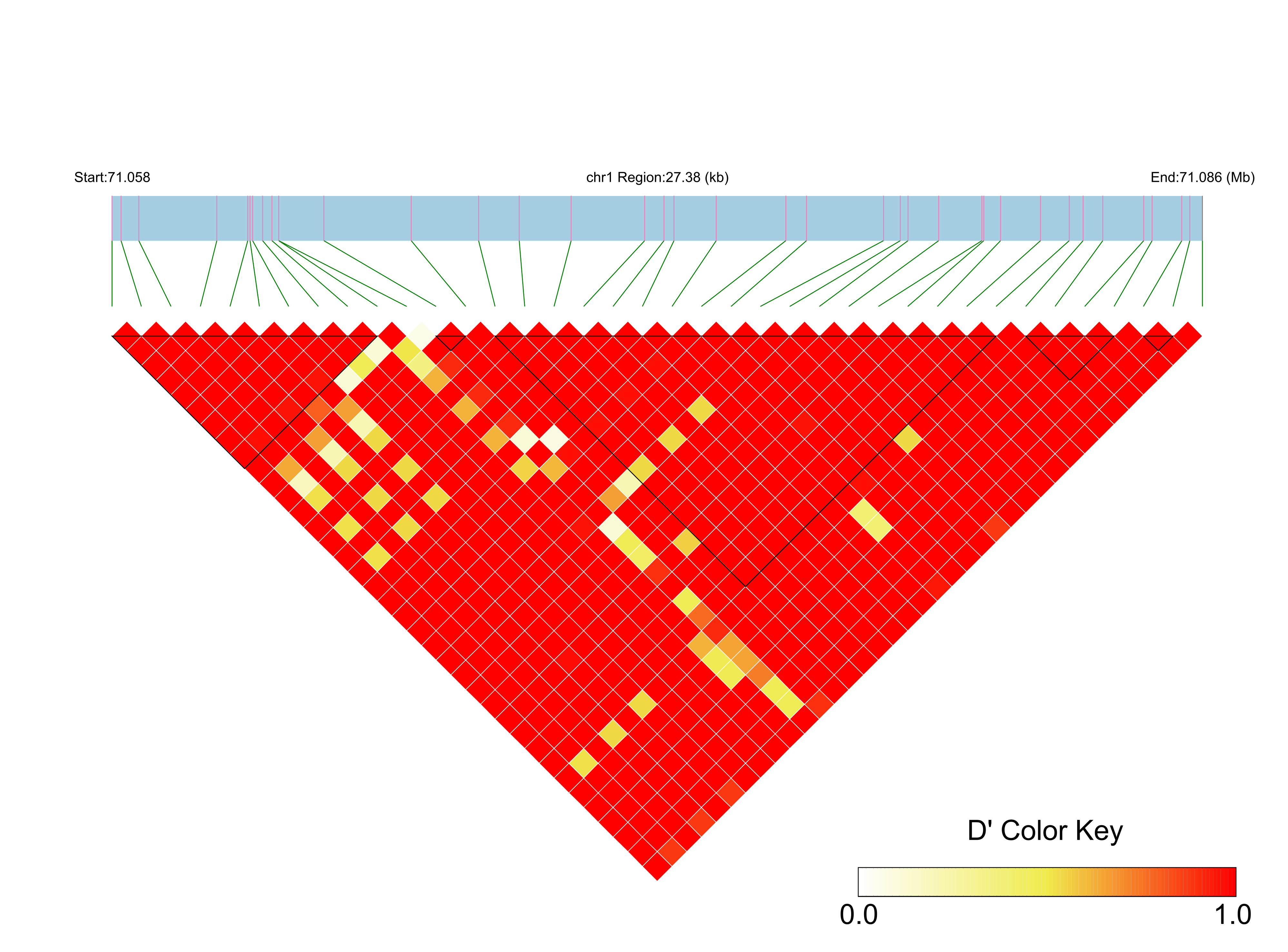 LD