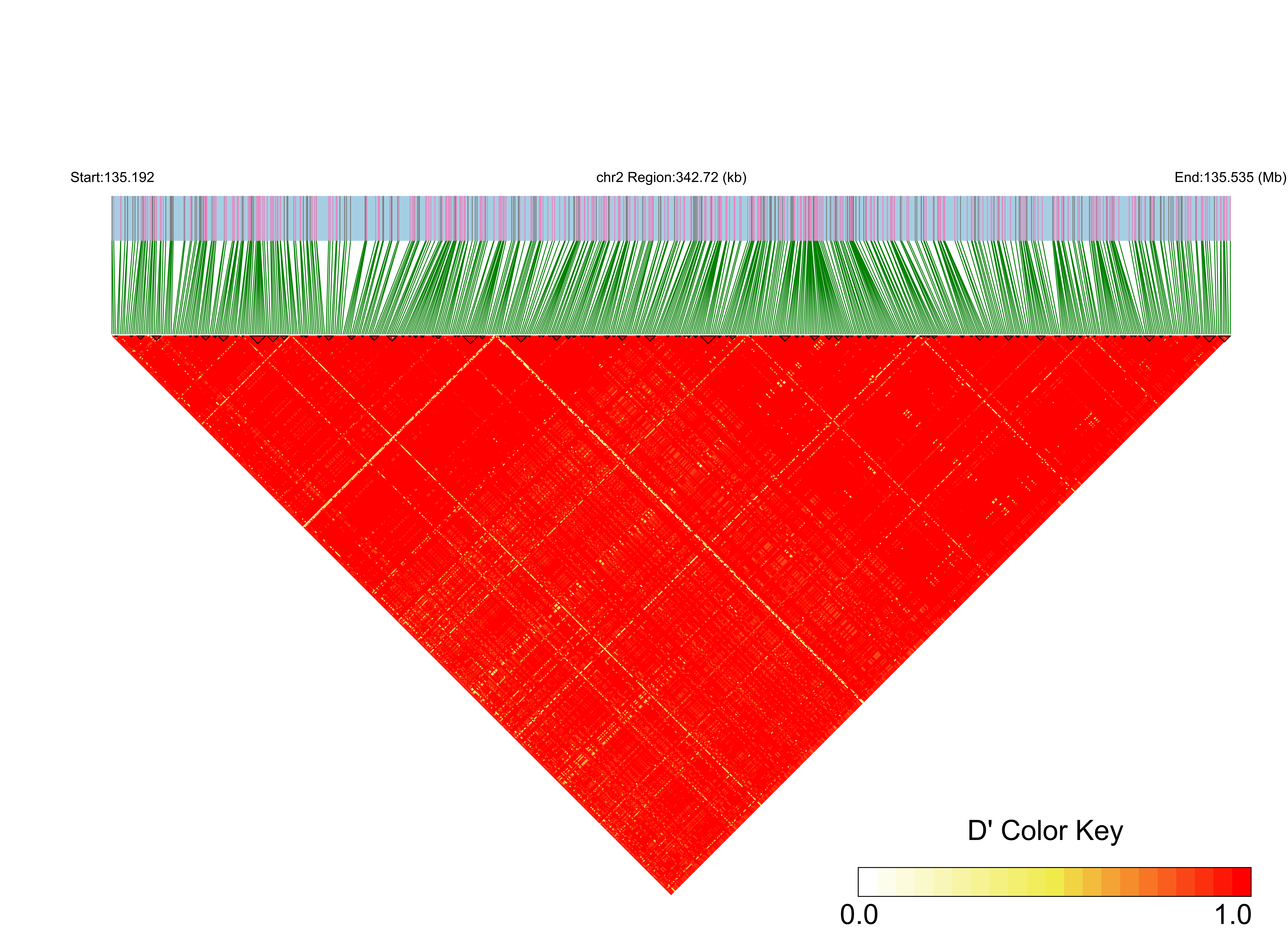 LD