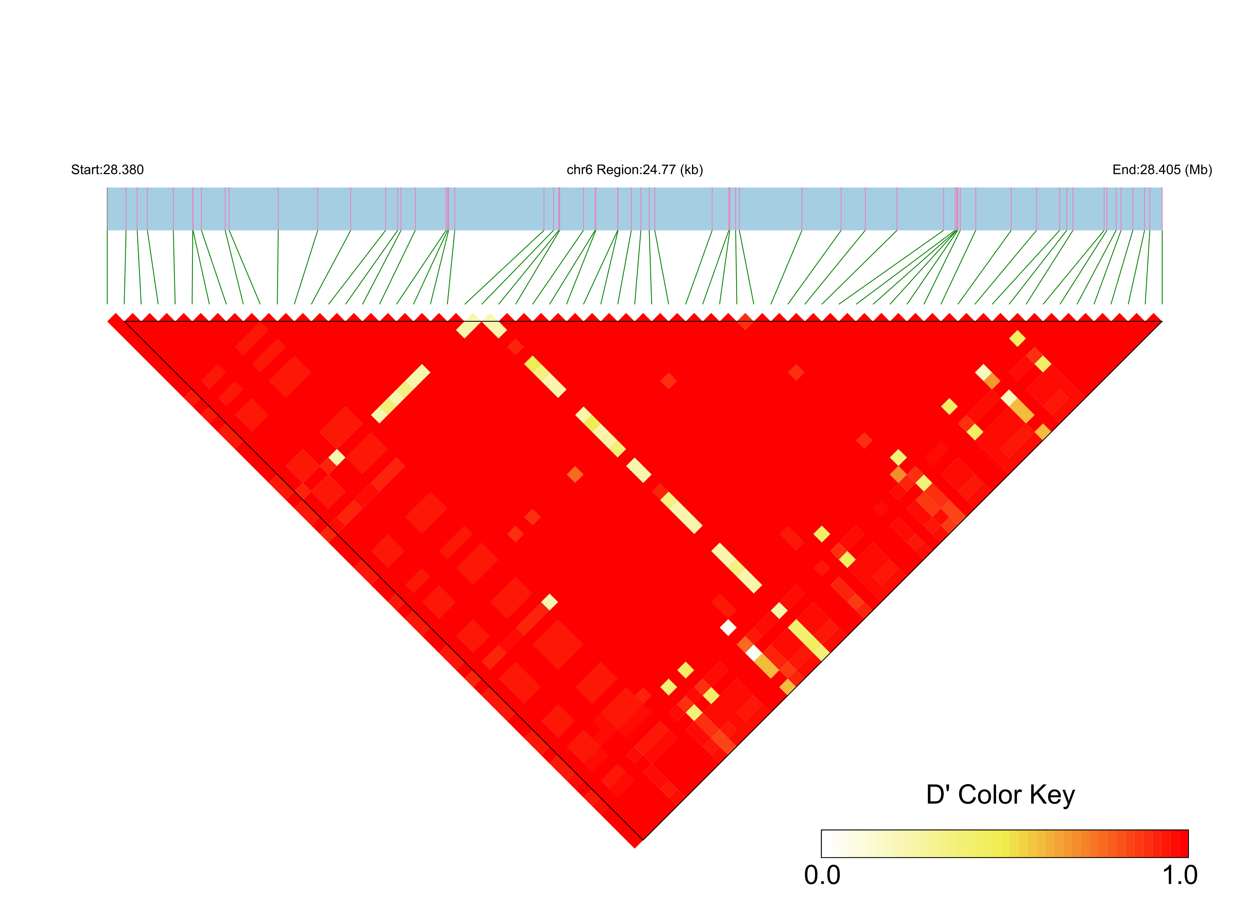 LD