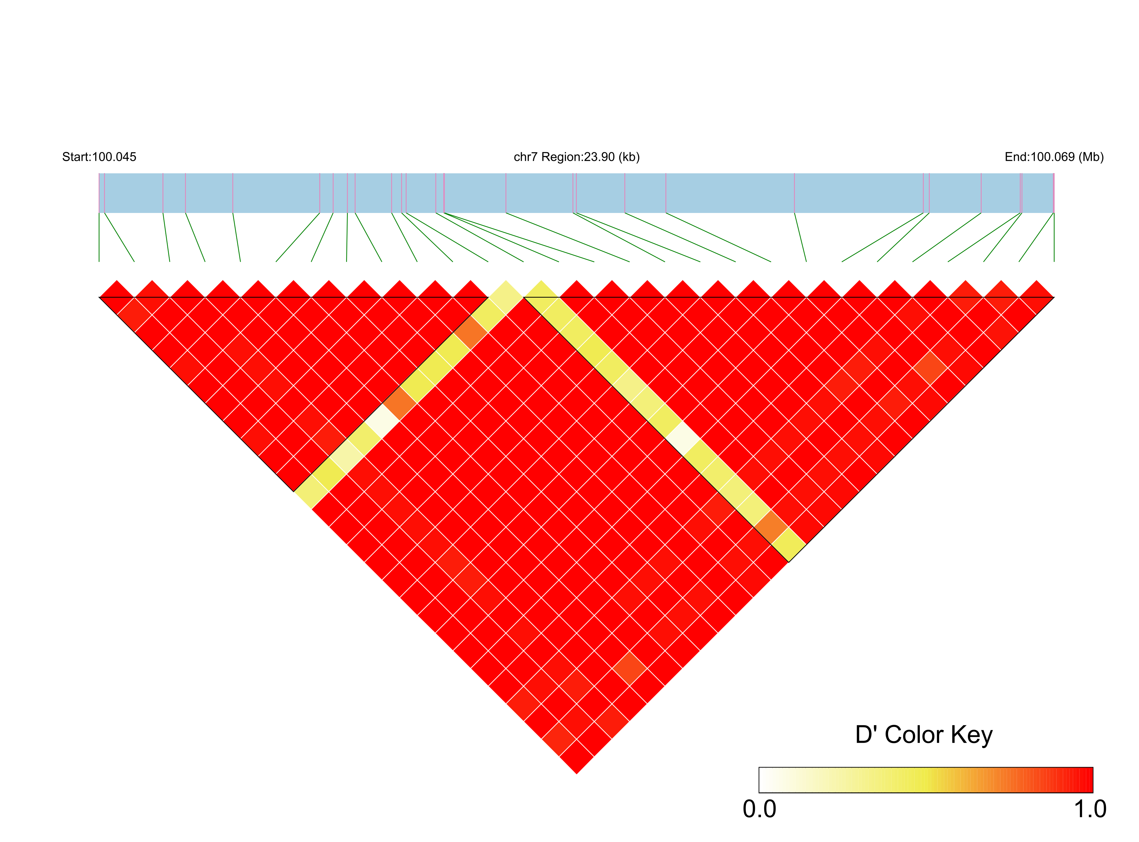 LD