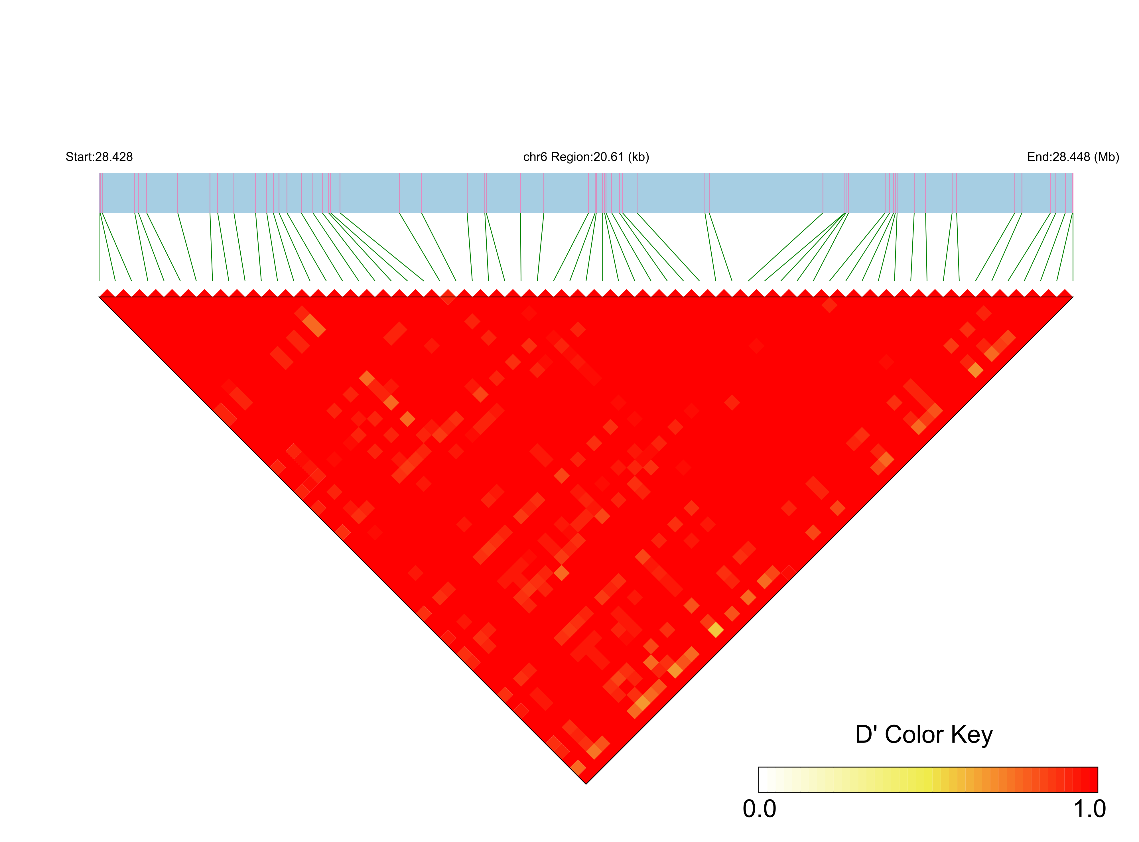 LD
