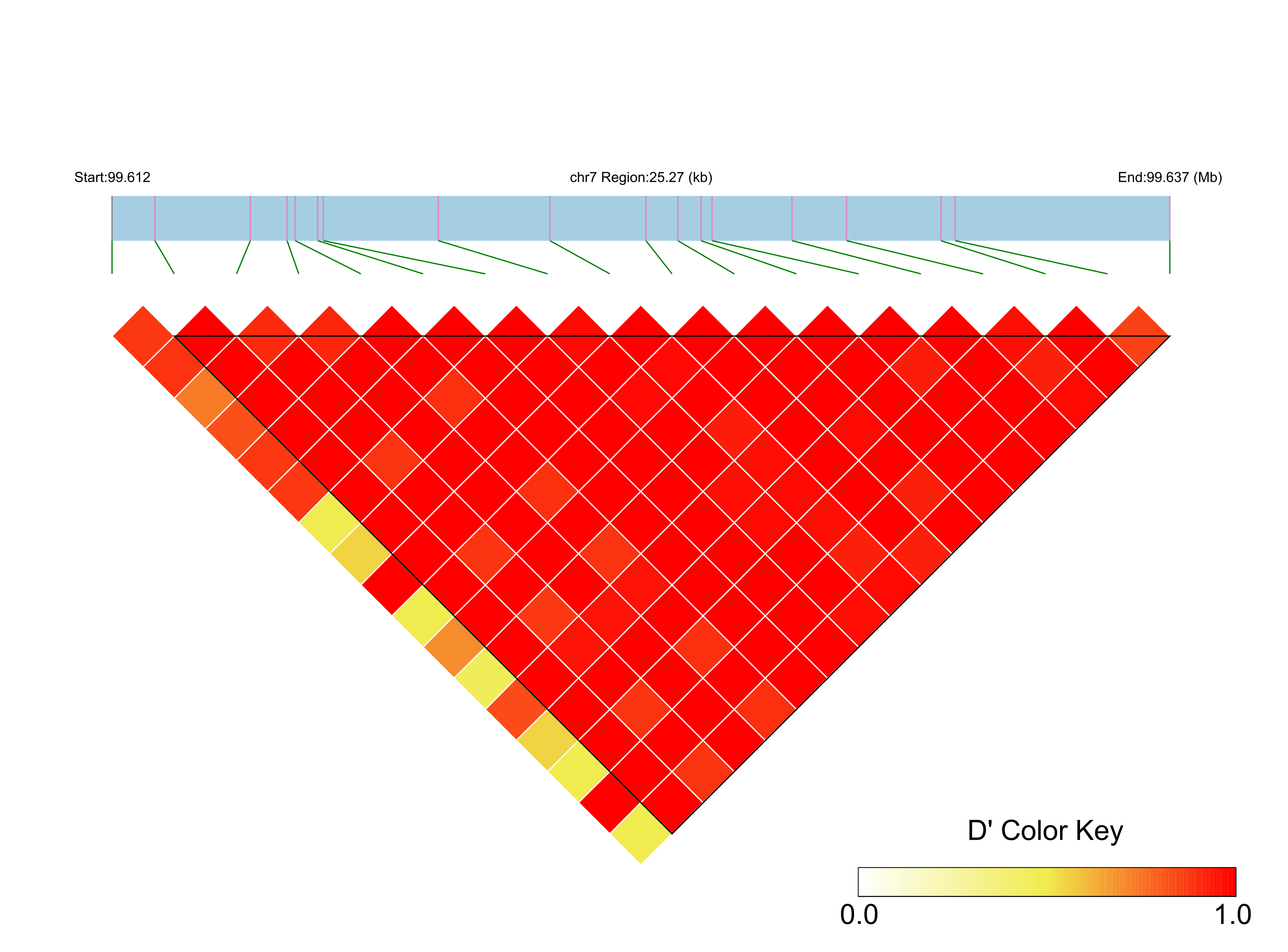 LD