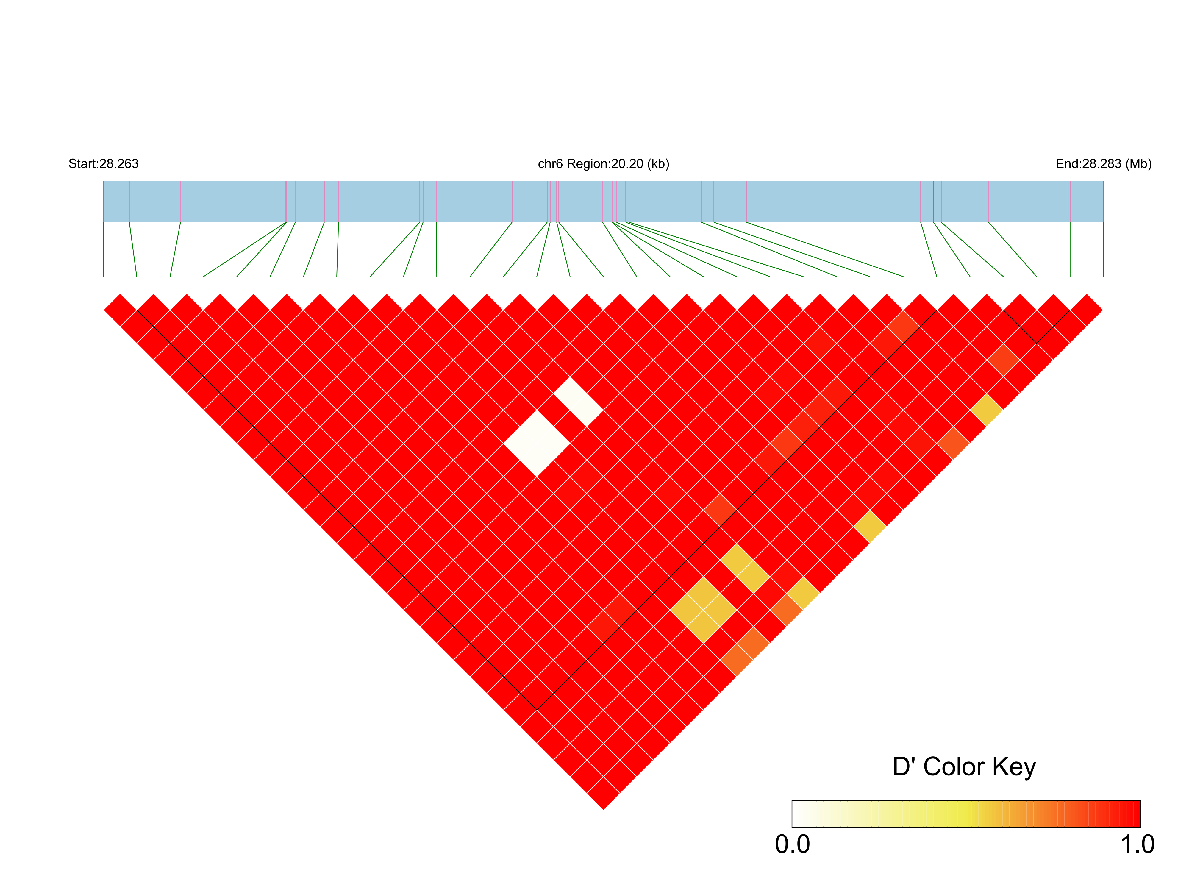 LD