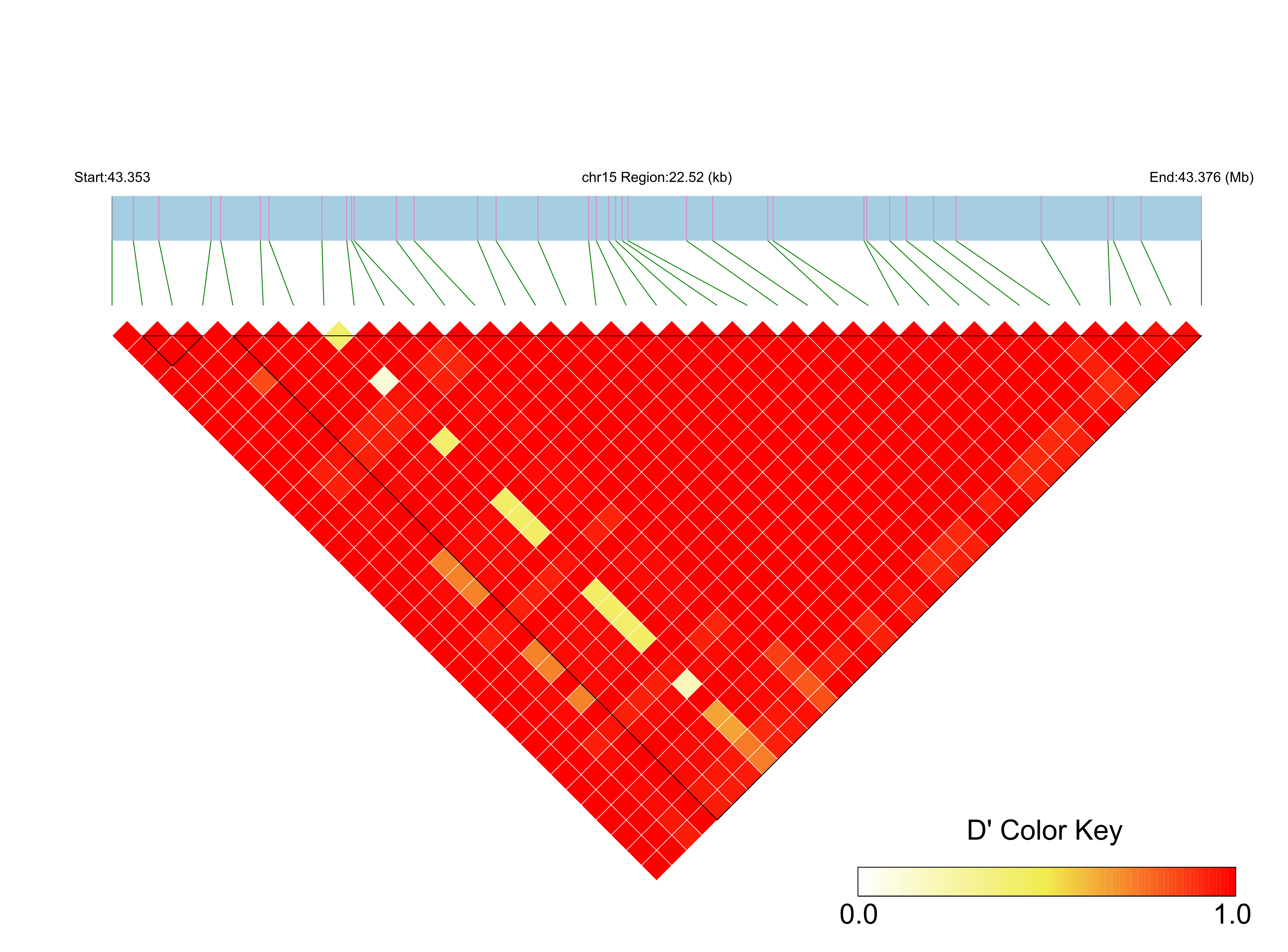LD