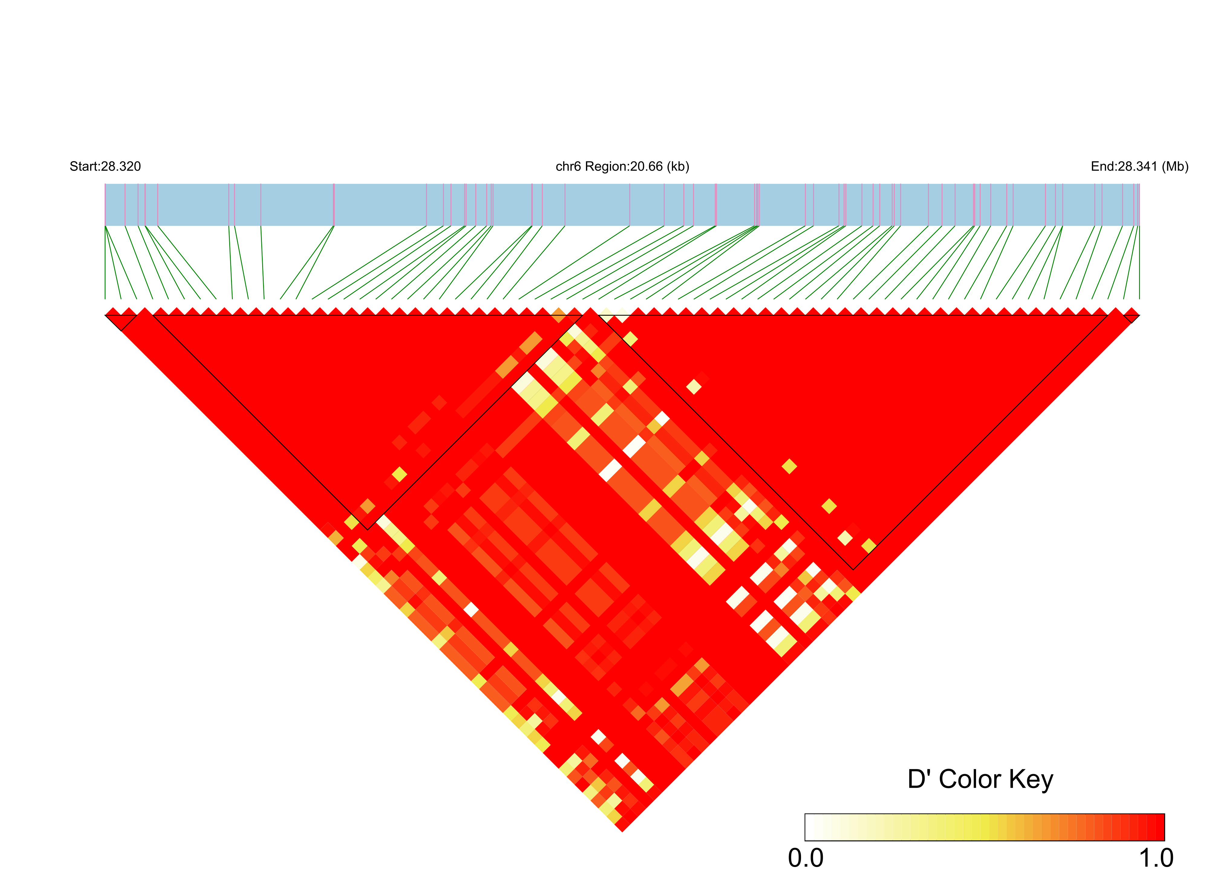 LD