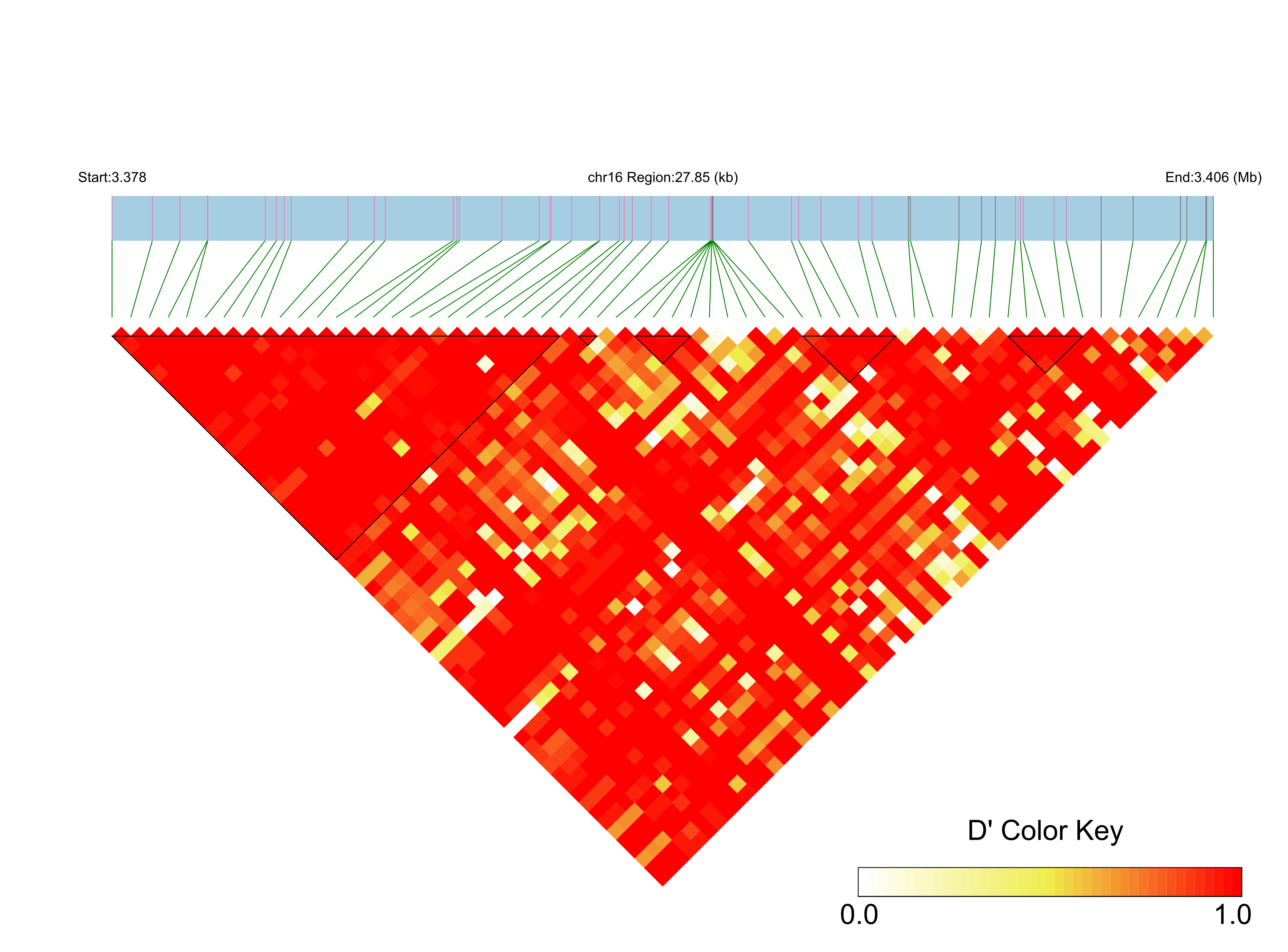 LD
