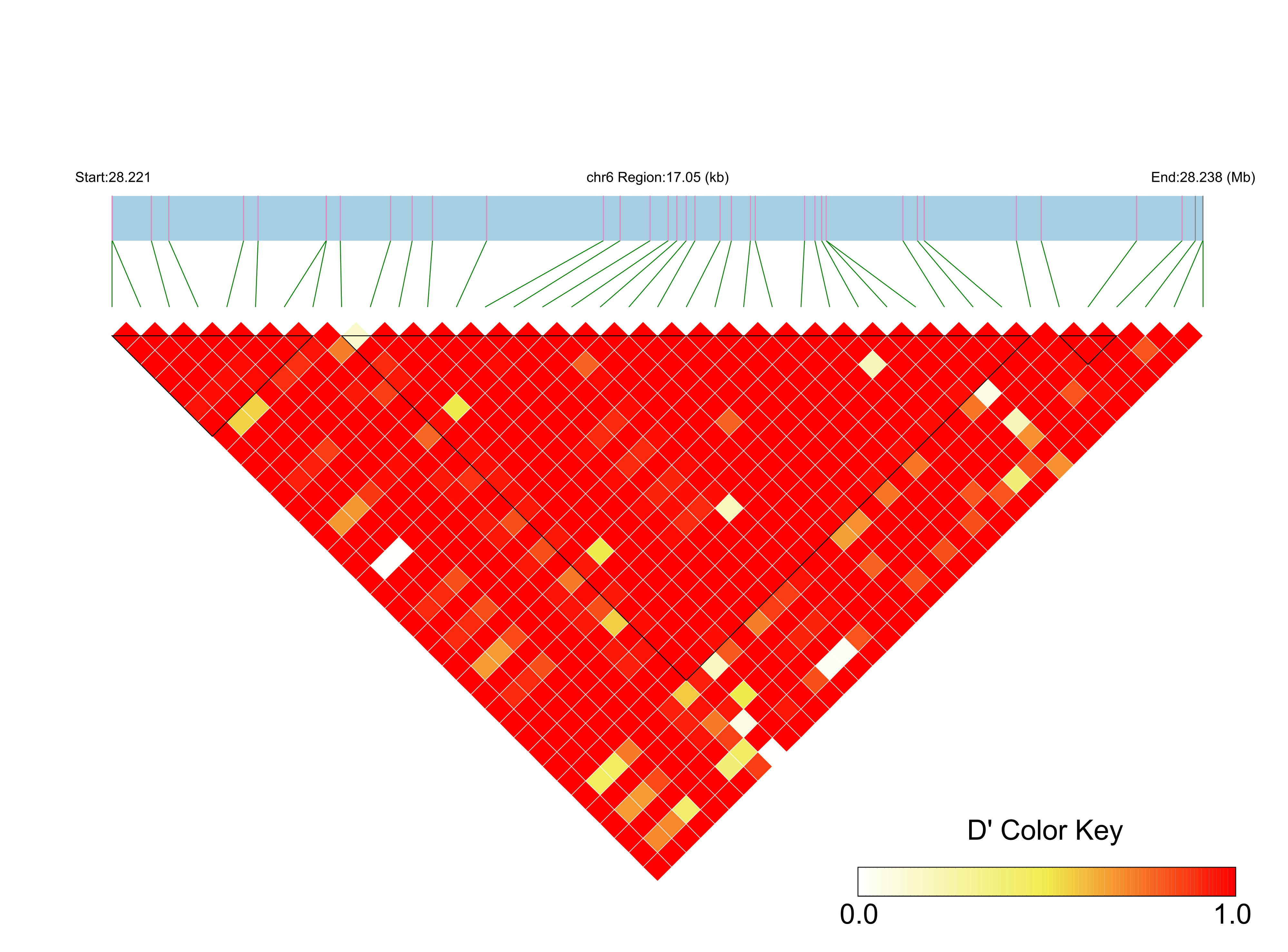 LD