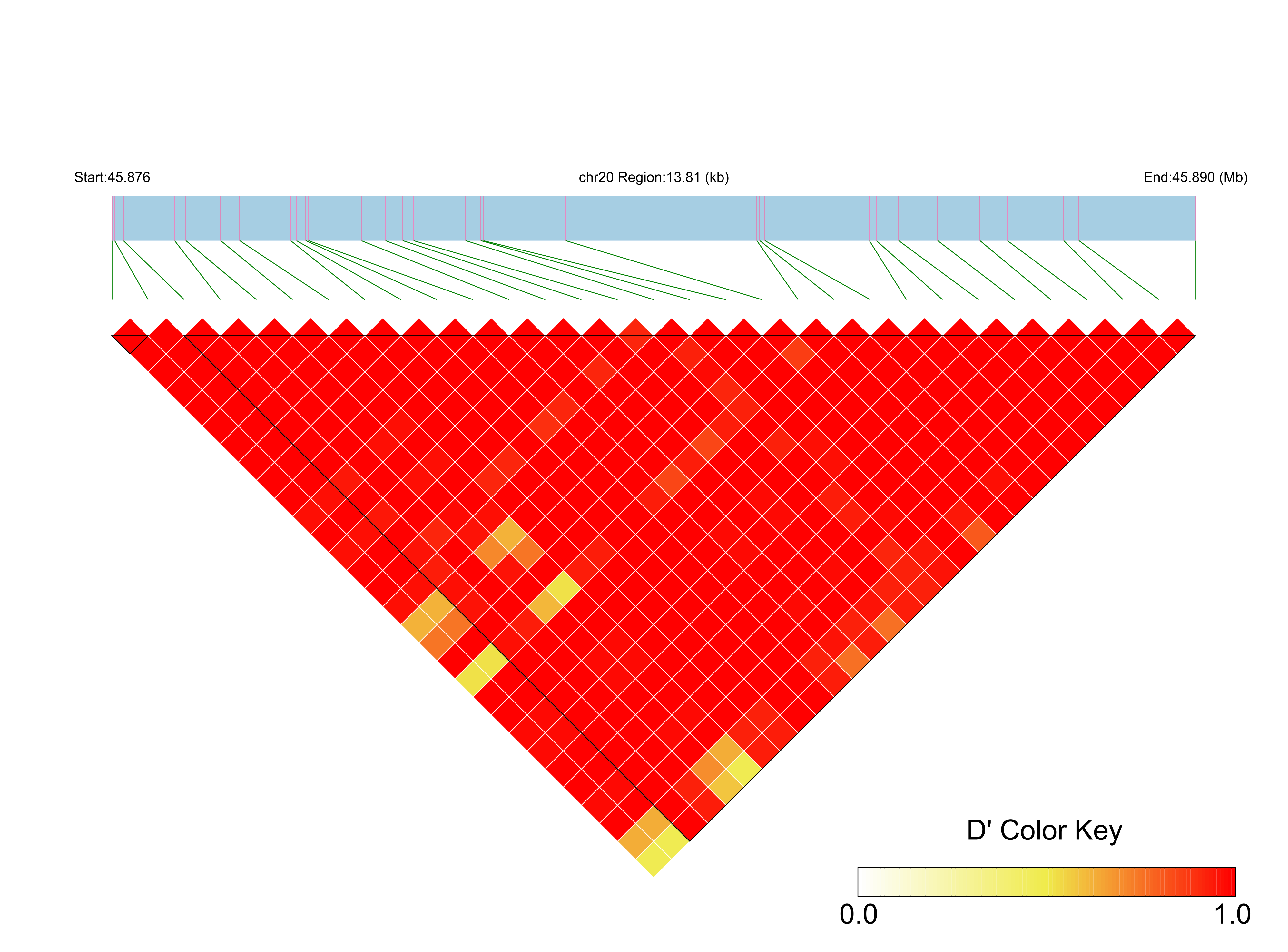 LD