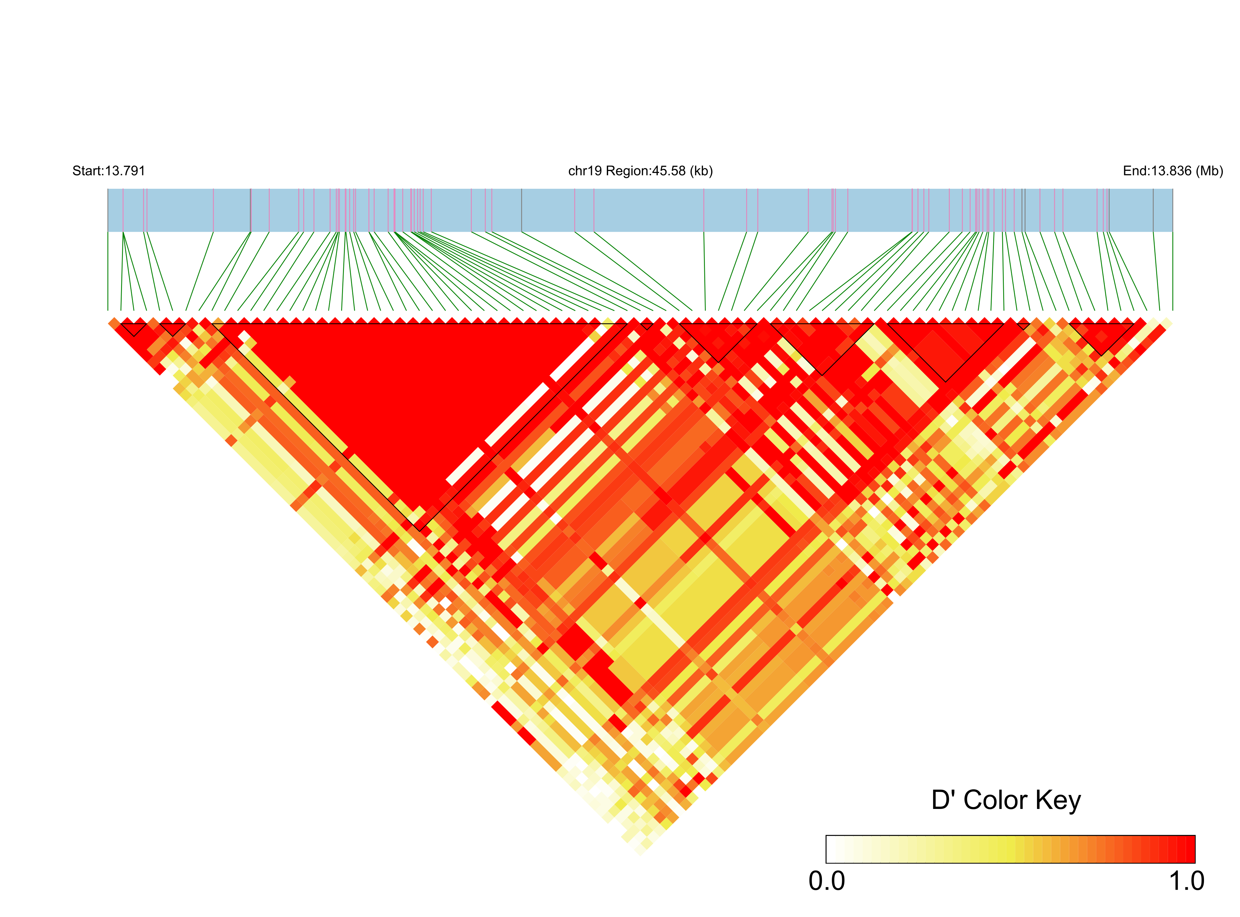LD