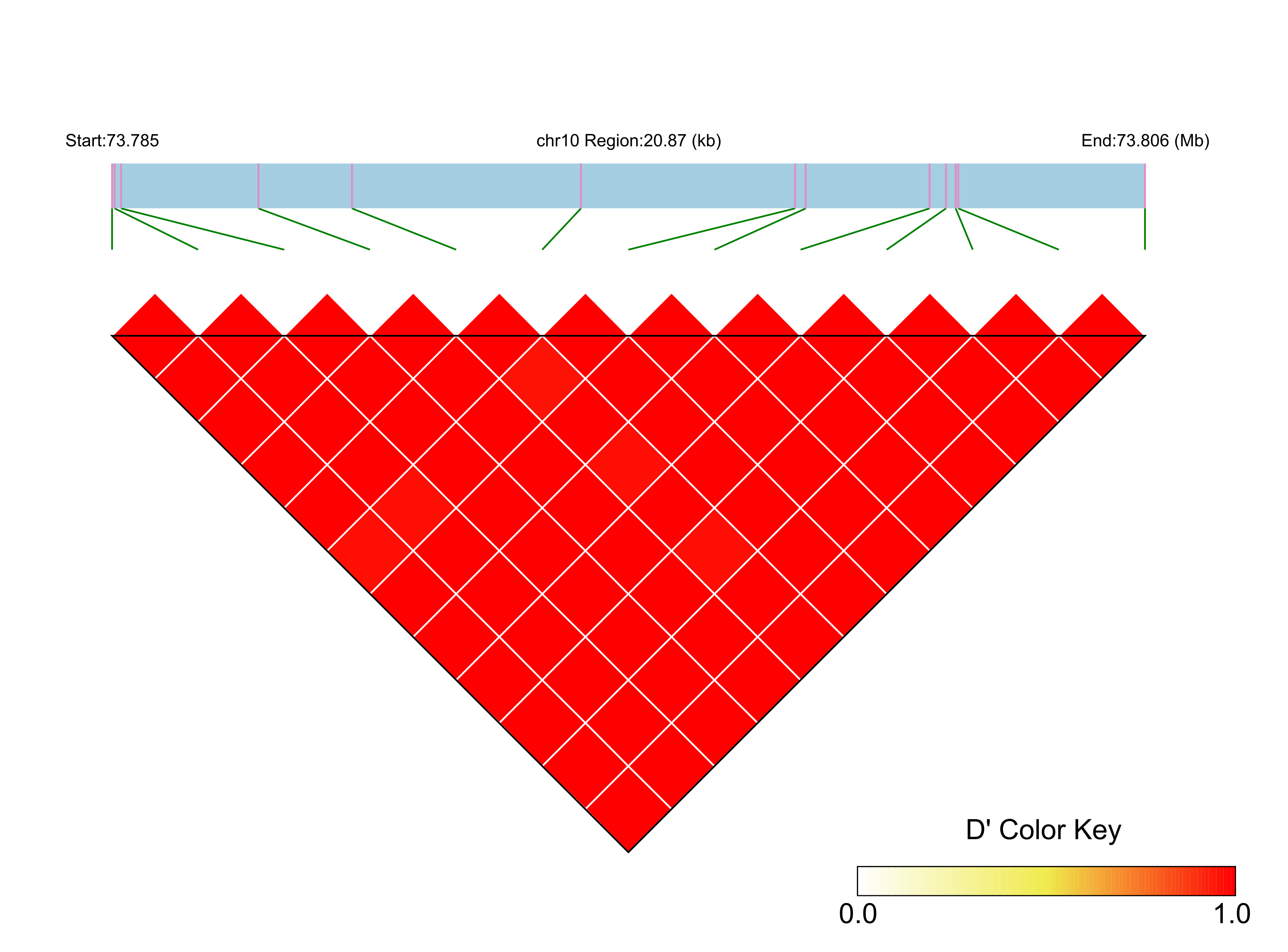 LD