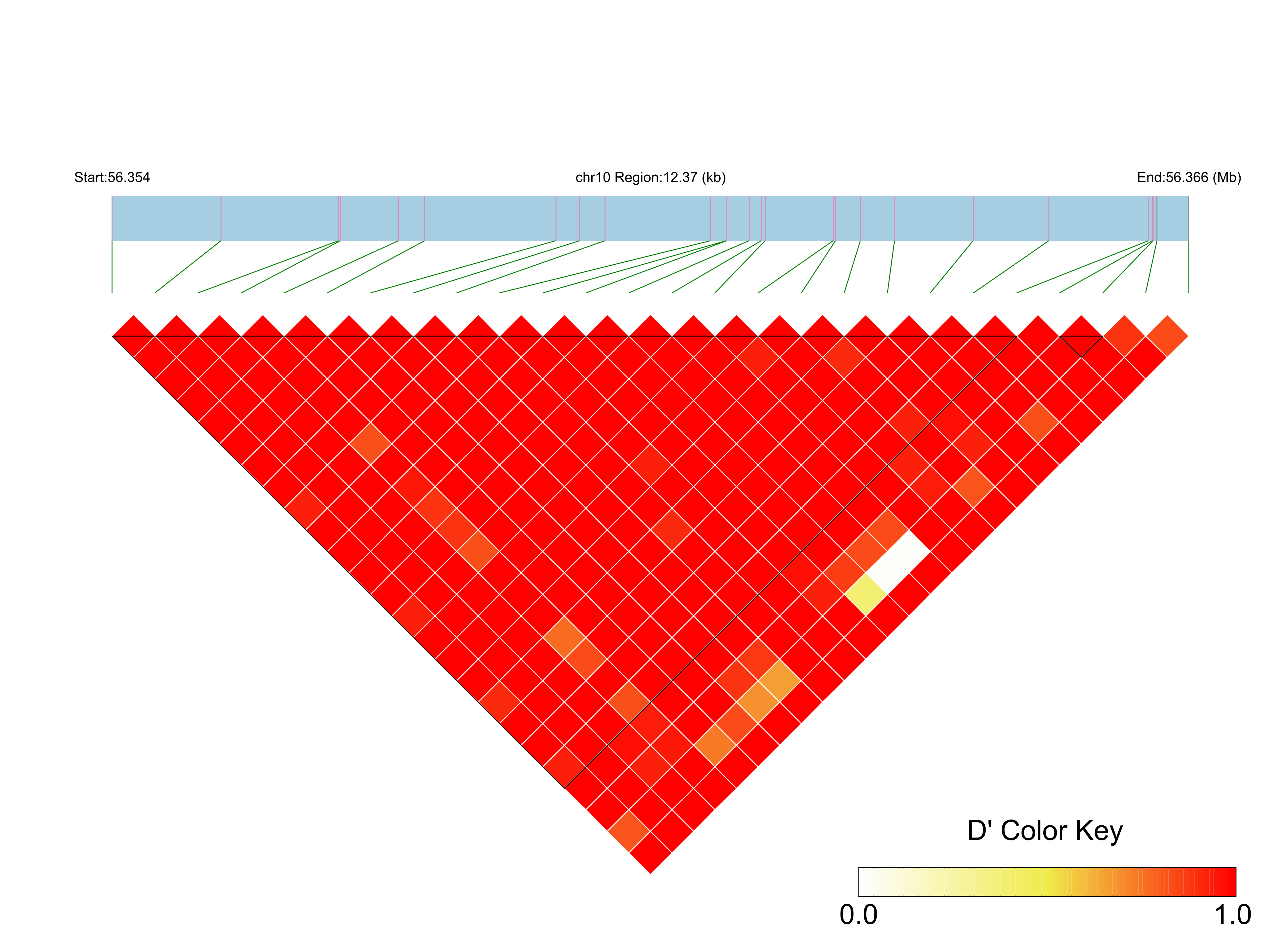 LD