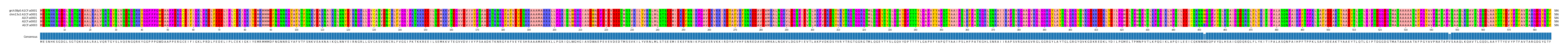 Multiple Alignments (by translate haplotype frequency)