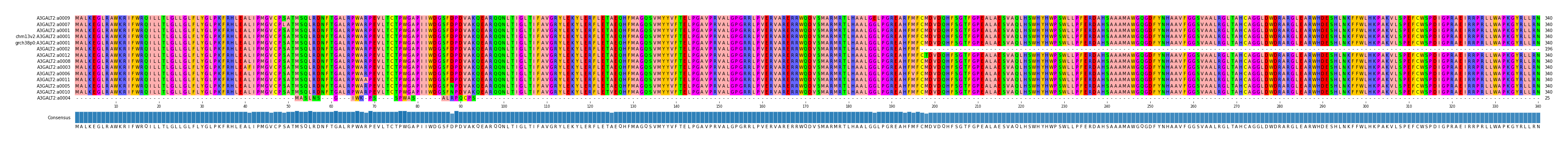 Multiple Alignments (by translate haplotype similarity)