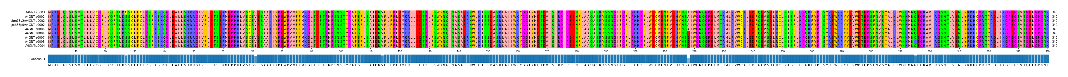 Multiple Alignments (by translate haplotype similarity)