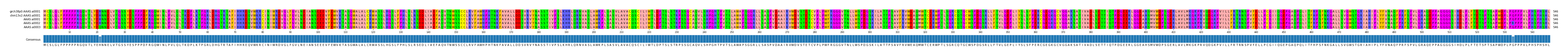 Multiple Alignments (by translate haplotype frequency)