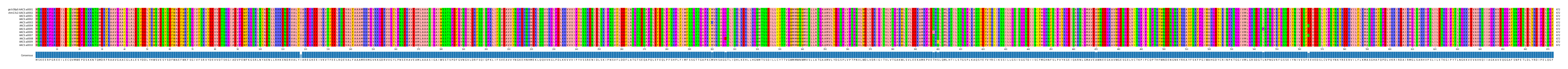 Multiple Alignments (by translate haplotype frequency)