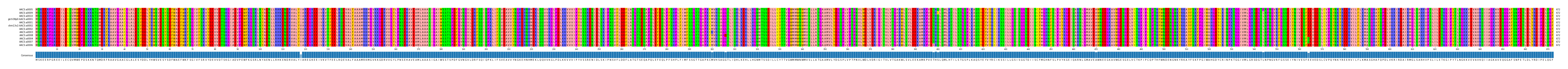 Multiple Alignments (by translate haplotype similarity)