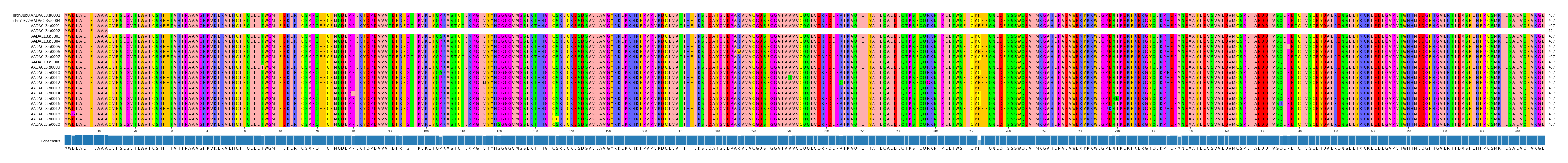 Multiple Alignments (by translate haplotype frequency)