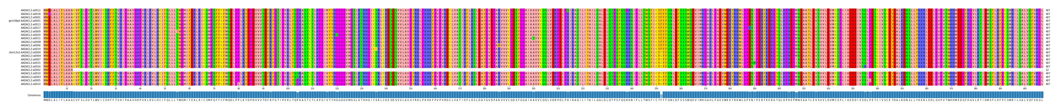 Multiple Alignments (by translate haplotype similarity)