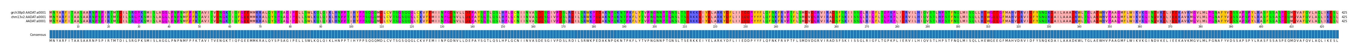 Multiple Alignments (by translate haplotype similarity)