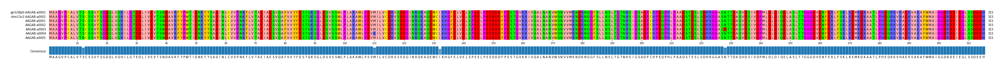 Multiple Alignments (by translate haplotype frequency)