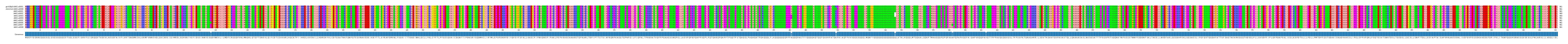 Multiple Alignments (by translate haplotype frequency)
