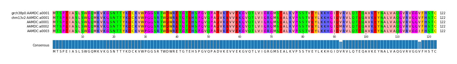Multiple Alignments (by translate haplotype frequency)