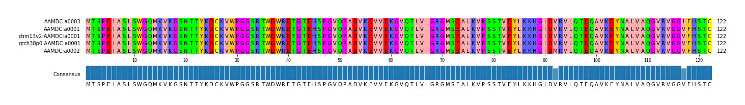 Multiple Alignments (by translate haplotype similarity)