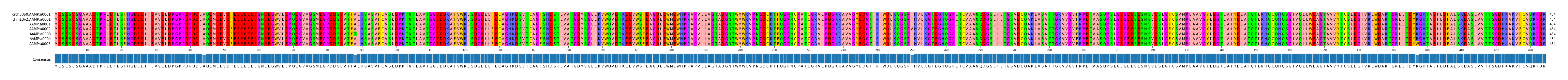Multiple Alignments (by translate haplotype frequency)