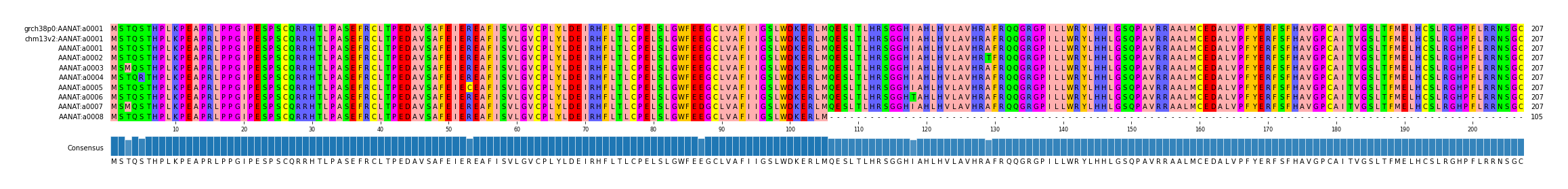 Multiple Alignments (by translate haplotype frequency)