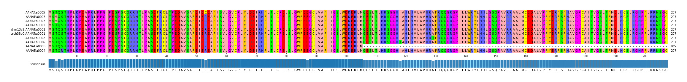 Multiple Alignments (by translate haplotype similarity)