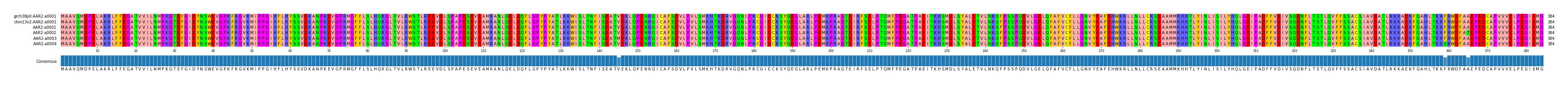 Multiple Alignments (by translate haplotype frequency)