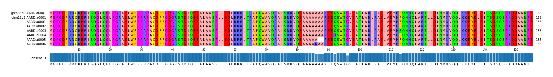 Multiple Alignments (by translate haplotype frequency)
