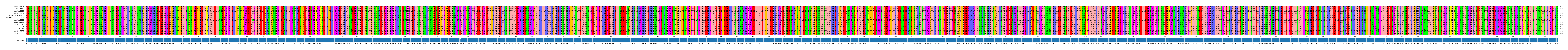 Multiple Alignments (by translate haplotype similarity)