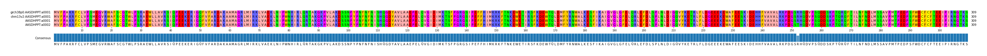 Multiple Alignments (by translate haplotype similarity)