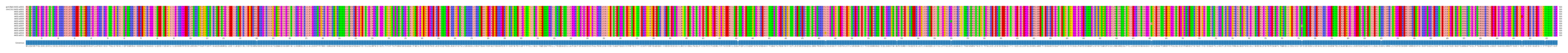 Multiple Alignments (by translate haplotype frequency)