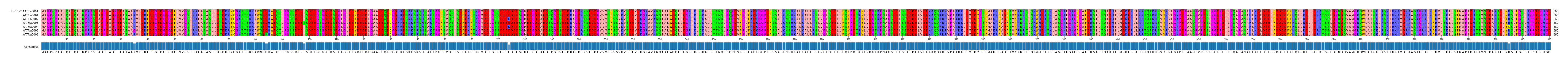 Multiple Alignments (by translate haplotype frequency)