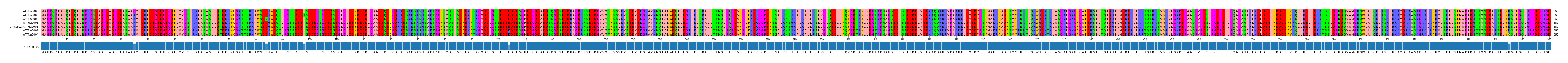 Multiple Alignments (by translate haplotype similarity)