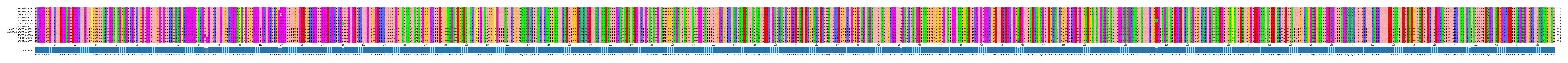 Multiple Alignments (by translate haplotype similarity)