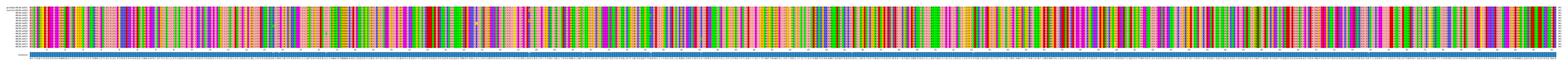 Multiple Alignments (by translate haplotype frequency)