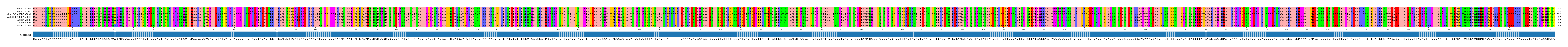 Multiple Alignments (by translate haplotype similarity)