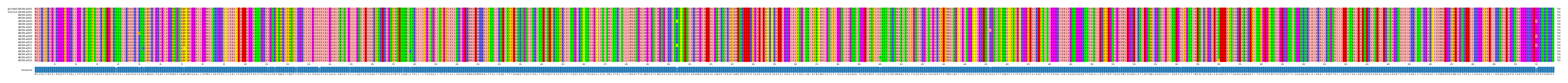 Multiple Alignments (by translate haplotype frequency)