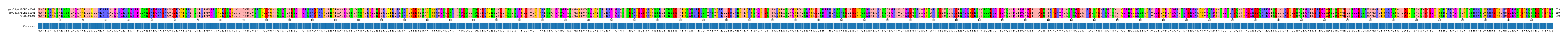 Multiple Alignments (by translate haplotype similarity)