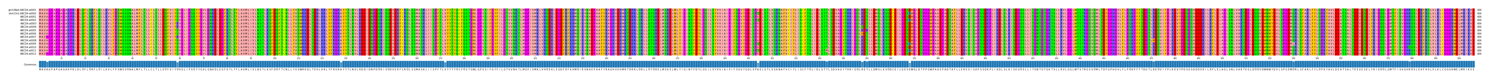 Multiple Alignments (by translate haplotype frequency)