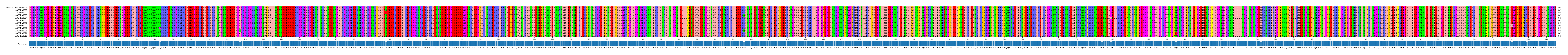 Multiple Alignments (by translate haplotype frequency)