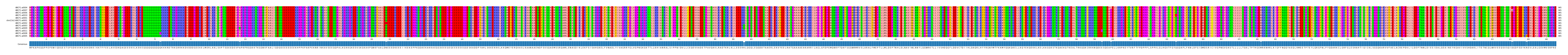 Multiple Alignments (by translate haplotype similarity)