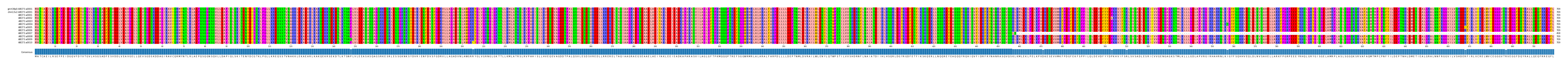 Multiple Alignments (by translate haplotype frequency)