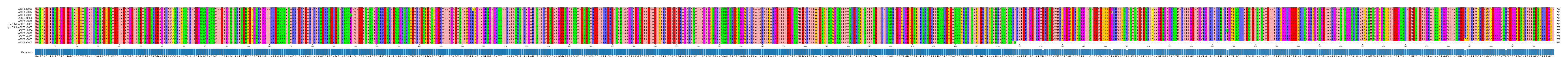 Multiple Alignments (by translate haplotype similarity)