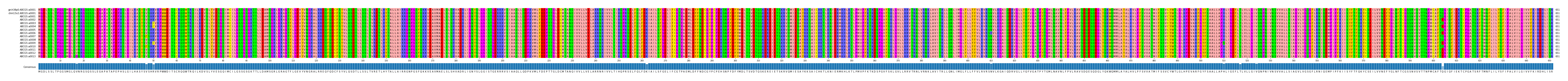 Multiple Alignments (by translate haplotype frequency)